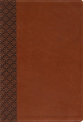 Amplified Holy Bible, Large Print, Leathersoft, Brown: Captures the Full Meaning Behind the Original Greek and Hebrew