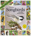 Audubon Songbirds and Other Backyard Birds Picture-A-Day(r) Wall Calendar 2027