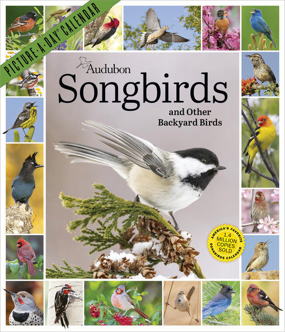 Audubon Songbirds and Other Backyard Birds Picture-A-Day(r) Wall Calendar 2027