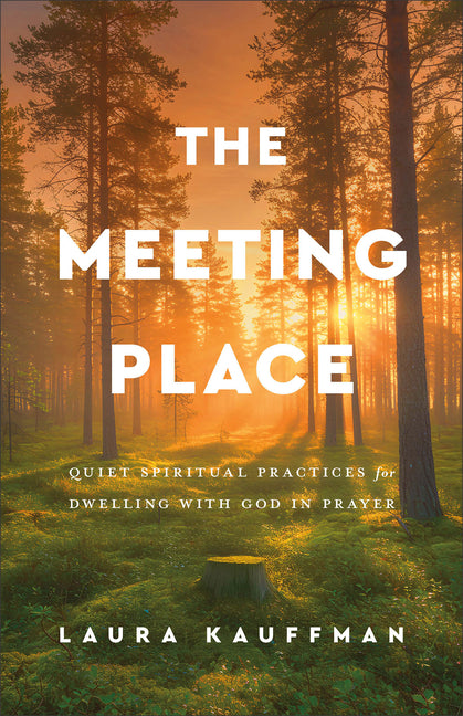 The Meeting Place: Quiet Spiritual Practices for Dwelling with God in Prayer