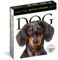 Dog Page-A-Day(r) Gallery Calendar 2027: An Elegant Canine Celebration