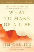 What to Make of a Life: Cliffs, Fog, Fire and the Self-Knowledge Imperative - Ingram