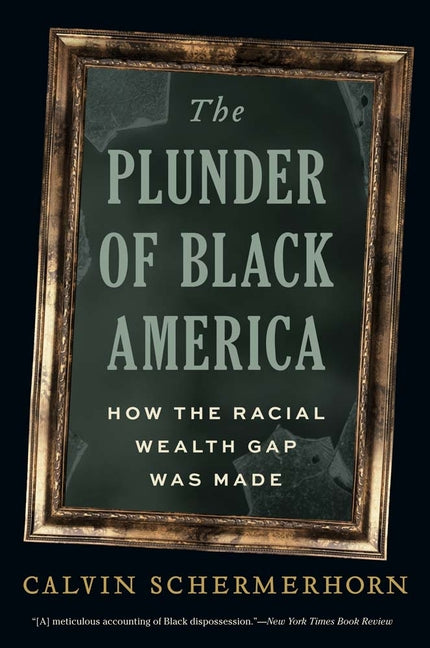 The Plunder of Black America: How the Racial Wealth Gap Was Made