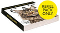 Cat Page-A-Day(r) Gallery Calendar Refill Pack 2027: A Delightful Gallery of Cats for Your Desktop