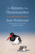 The Return of the Oystercatcher: Saving Birds to Save the Planet - Ingram