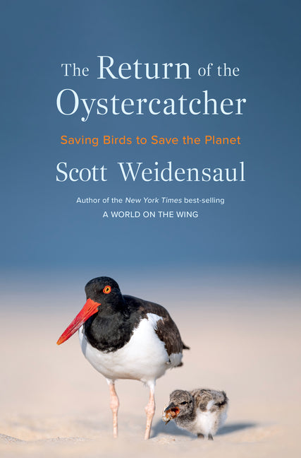 The Return of the Oystercatcher: Saving Birds to Save the Planet - Ingram
